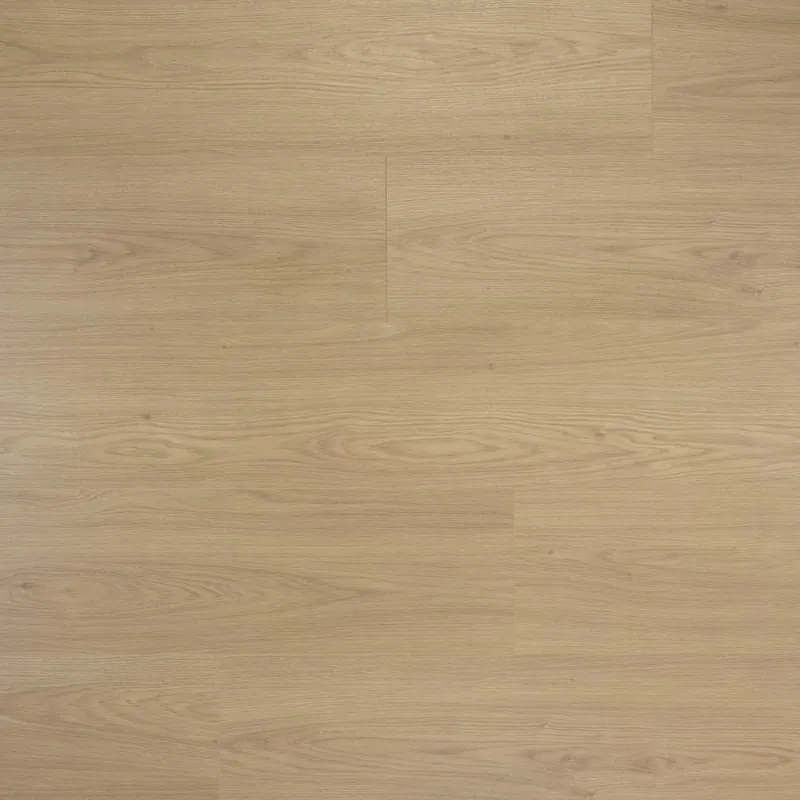 Douwes Dekker - Sympathiek - Brede plank Truffel 4MV 03480 (Laminaat) Lage Kosten