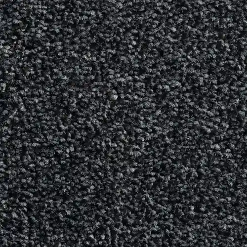 OTIUM Entreemat Black Line Raven 130 cm breed (inclusief Rubber rand2 zijden - 5 cm) Veilige Betaling