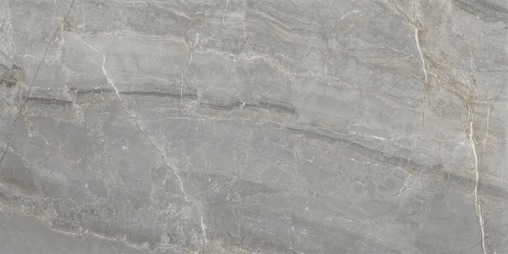 Alleen Vandaag Arpa TOPSTONE Zilver glans 60X120cm ( ARPTOPSS6012GR )