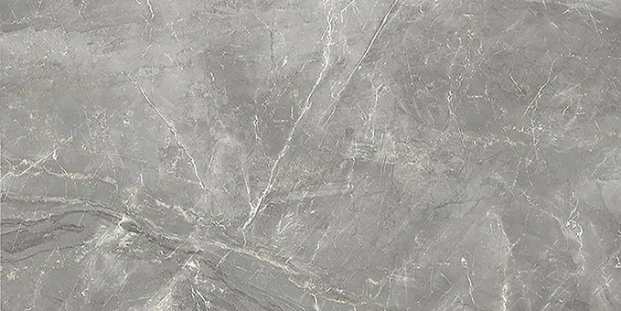 Favoriet Arpa TOPSTONE Zilver mat 60X120cm ( ARPTOPSS6012R )