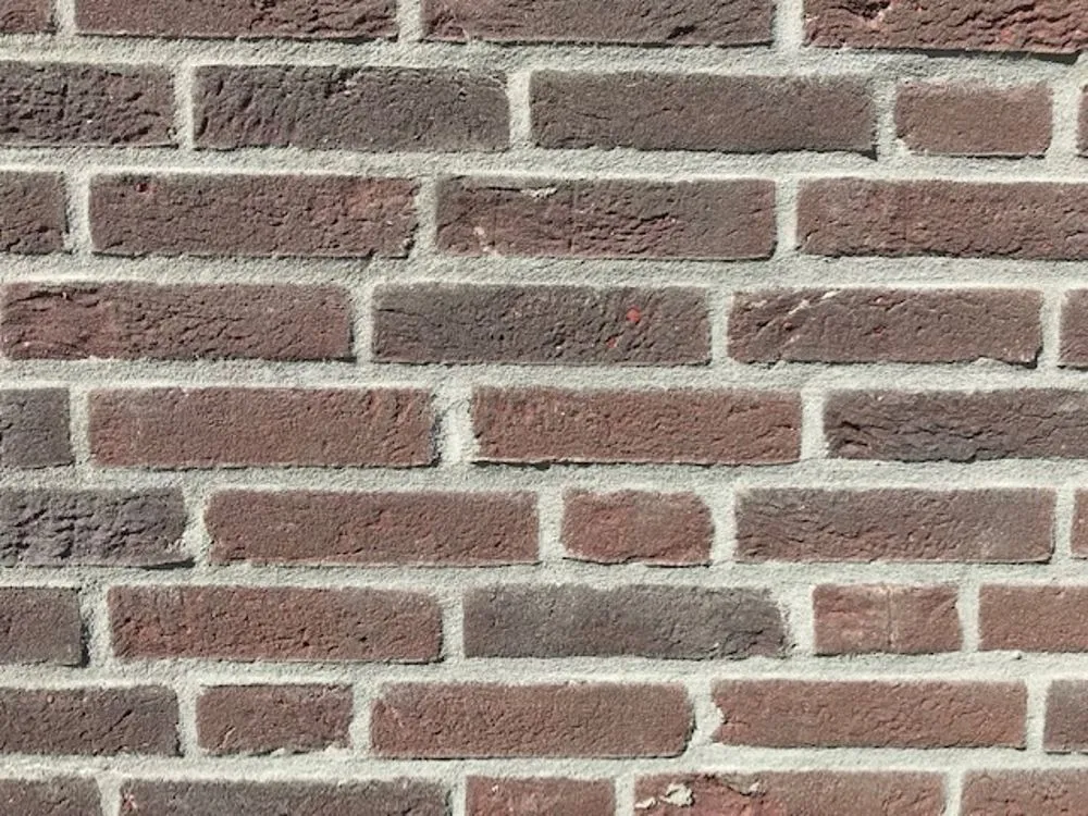 Waalformaat steenstrip bruin - Geba 609 Nieuw