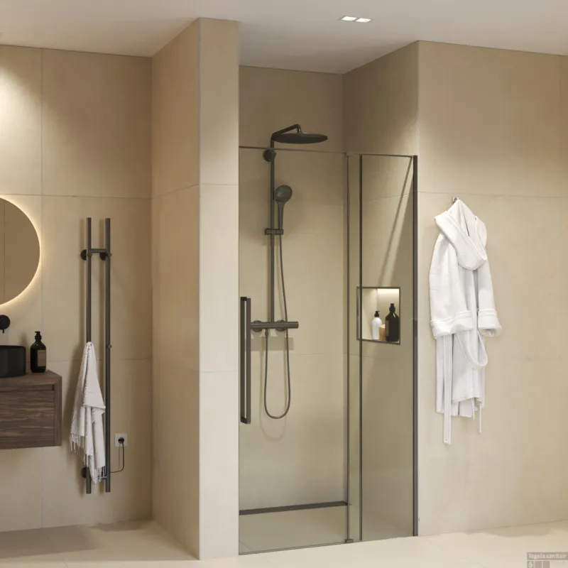 Nisdeur Sanivo Sena Met Vast Paneel Helder Glas 120x200 cm Met Montageset Gunmetal Direct Beschikbaar
