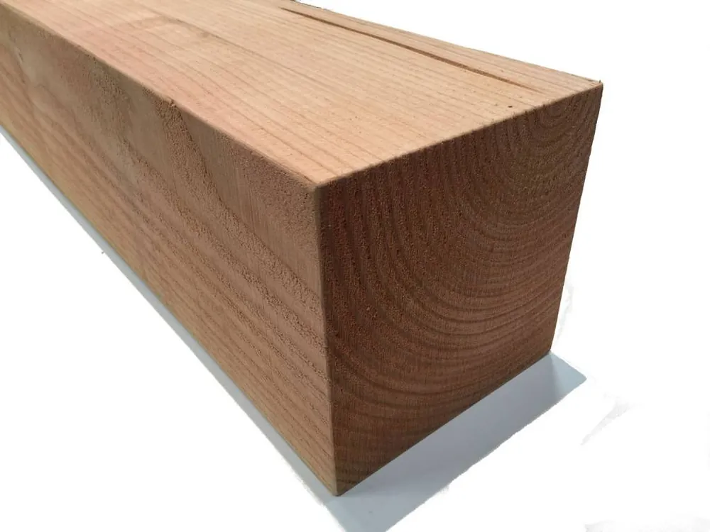 Rechtstreeks Van De Fabrikant Douglas Palen 20x20 (200x200 mm) - 250 cm