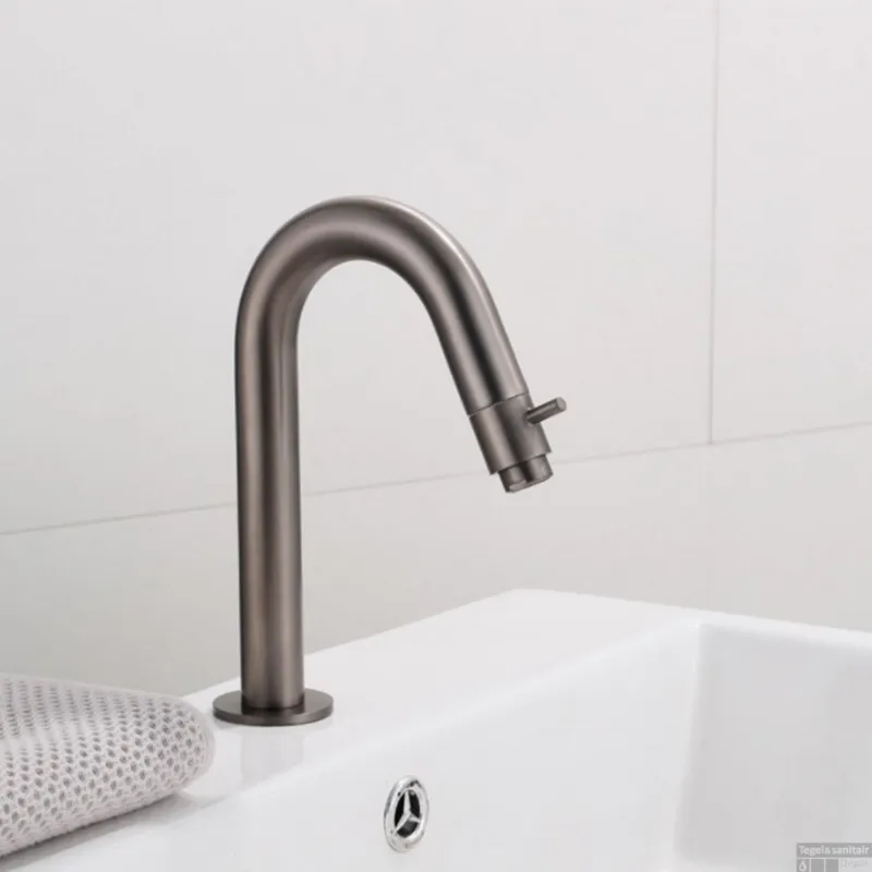 Flitsaanbieding Fonteinkraan BWS Iron Hoog Gebogen Gunmetal