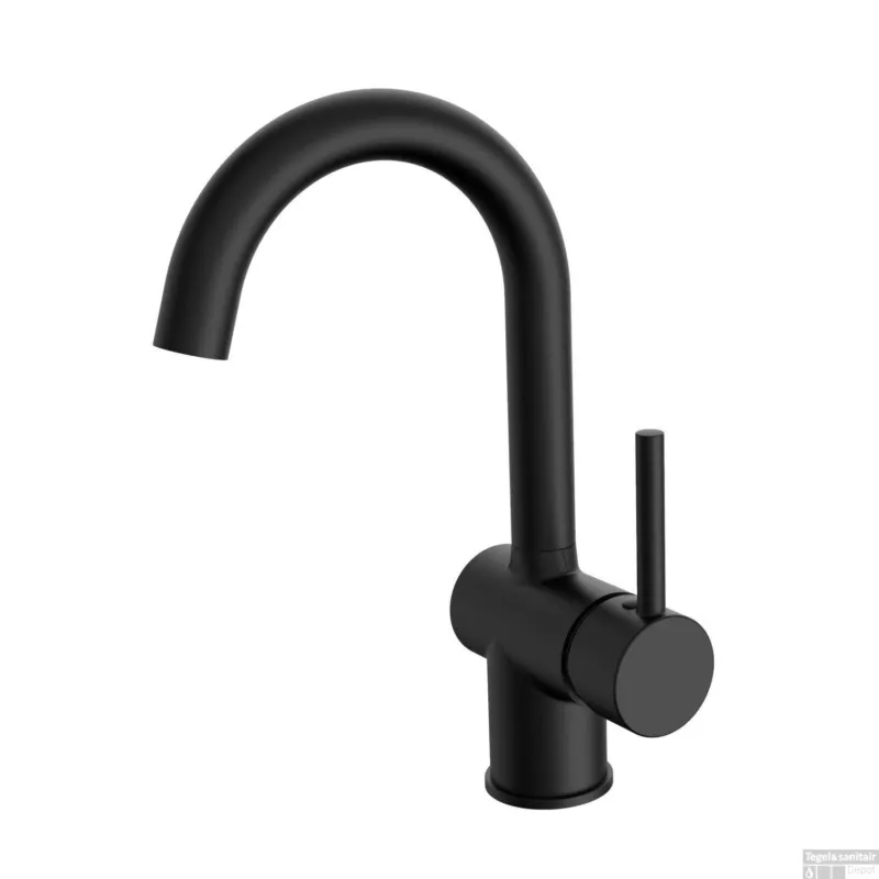 Wastafelmengkraan Best Design Nero Eisenbach Draaibare Uitloop Mat Zwart Flitsaanbieding
