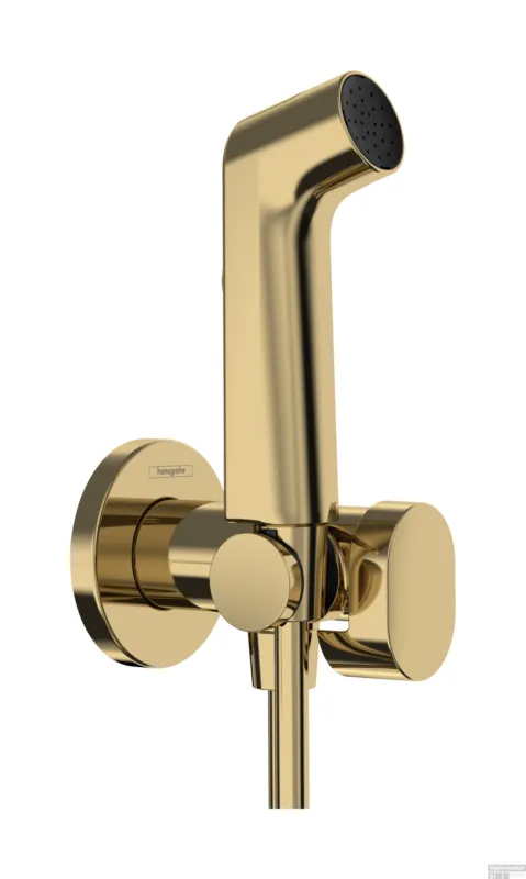 Hoge Kwaliteit Hansgrohe bidethanddouche 1jet S EcoSmart voor koud water met porter en doucheslang 125 cm, Polished Gold-Optic
