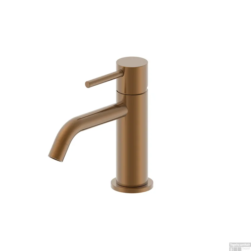 Populair Wastafelmengkraan Opbouw Wiesbaden Style Uitloop 6.5 cm 1-hendel Geborsteld Brons Koper