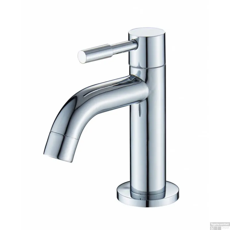 Fonteinkraan Sanilux Opbouw New Cadans Chroom Superprijs