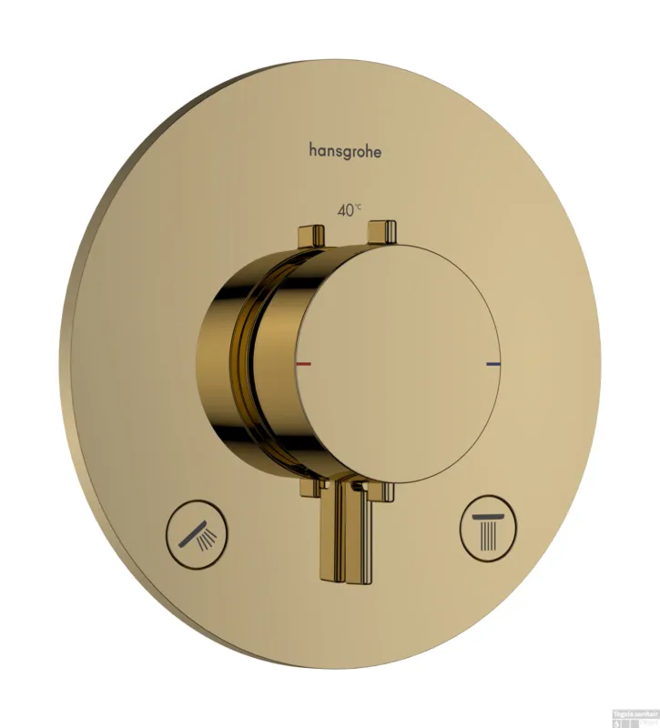 Afbouwdeel Hansgrohe Ecostat Comfort S Thermostaat 2 Functies Rond Gepolijst Goud Premium