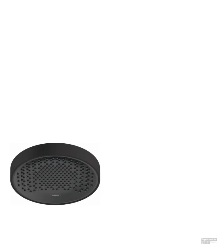 Hansgrohe Rainfinity PowderRain hoofddouche 250 1jet EcoSmart, mat zwart Nu Kopen