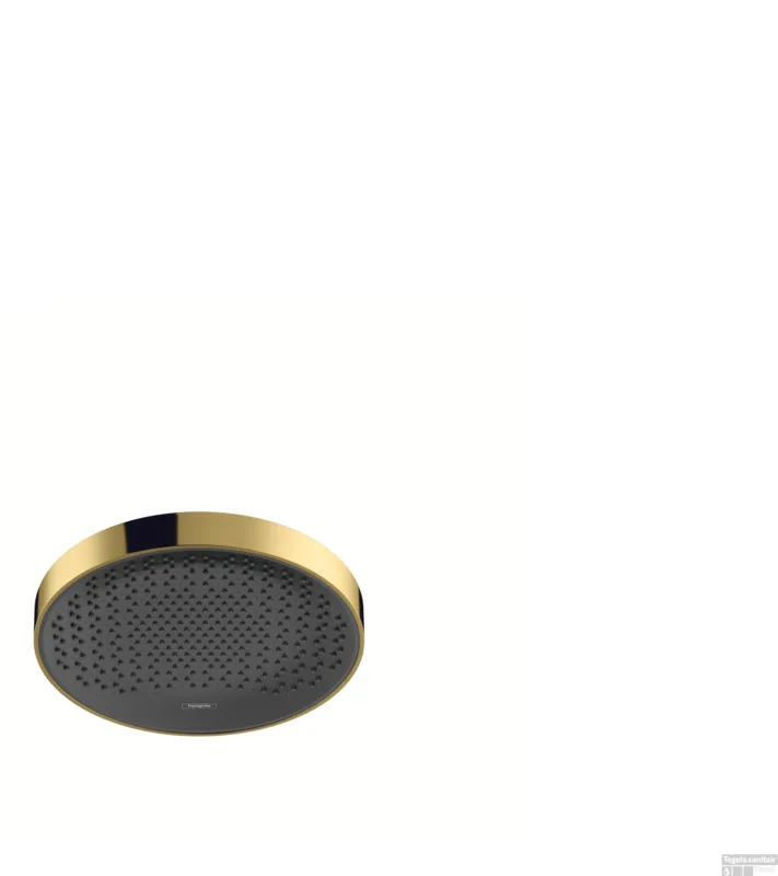 Hansgrohe Rainfinity PowderRain hoofddouche 250 1jet, Polished Gold Optic Betrouwbaar