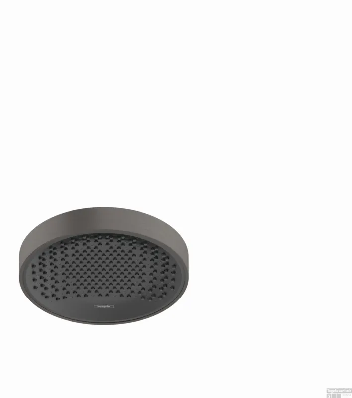 Rechtstreeks Van De Fabrikant Hansgrohe Rainfinity PowderRain hoofddouche 250 1jet, Brushed Black Chrome