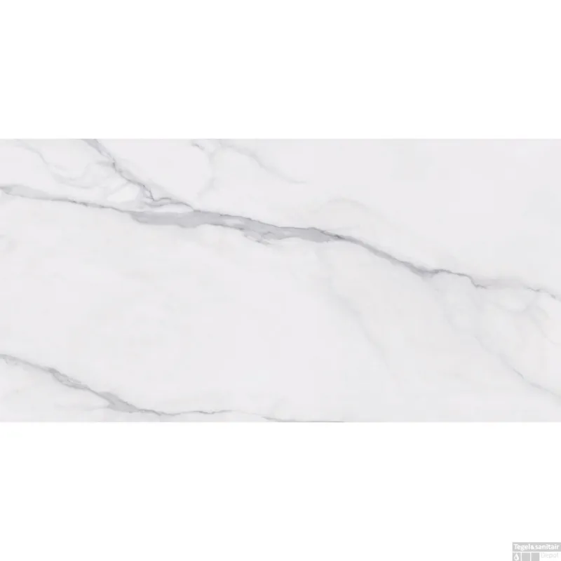 Weekendaanbieding Vloertegel Pamesa Atrium. Portofino 60x120 cm Gerectificeerd Marmerlook Gepolijst Brillo (Doosinhoud 1.44 m2)