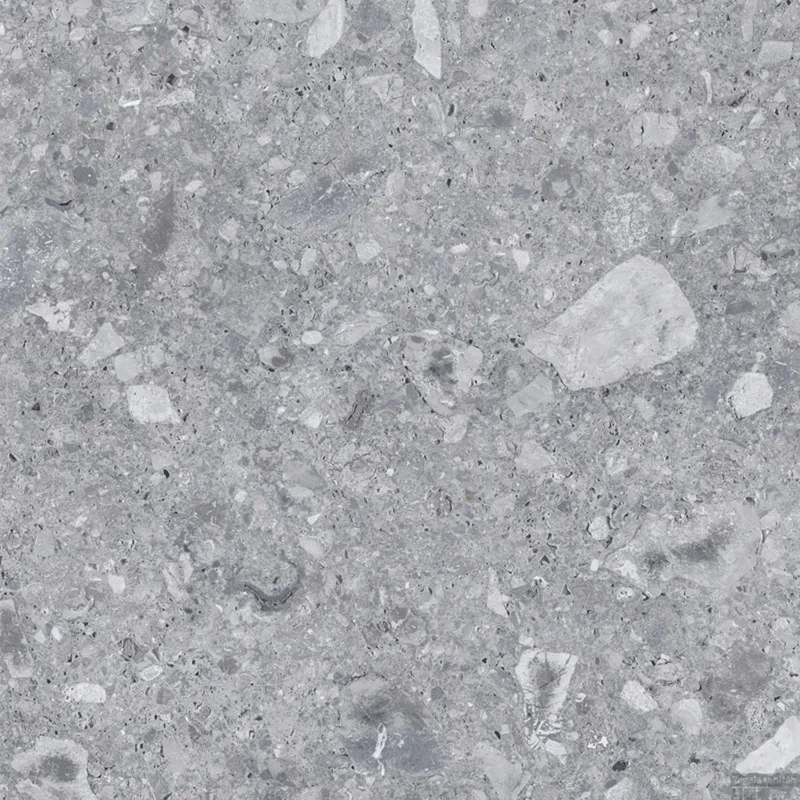 Vloertegel Energieker Ceppo Di Gre 60x60 cm Grey (doosinhoud 1,44m2) Weekendaanbieding