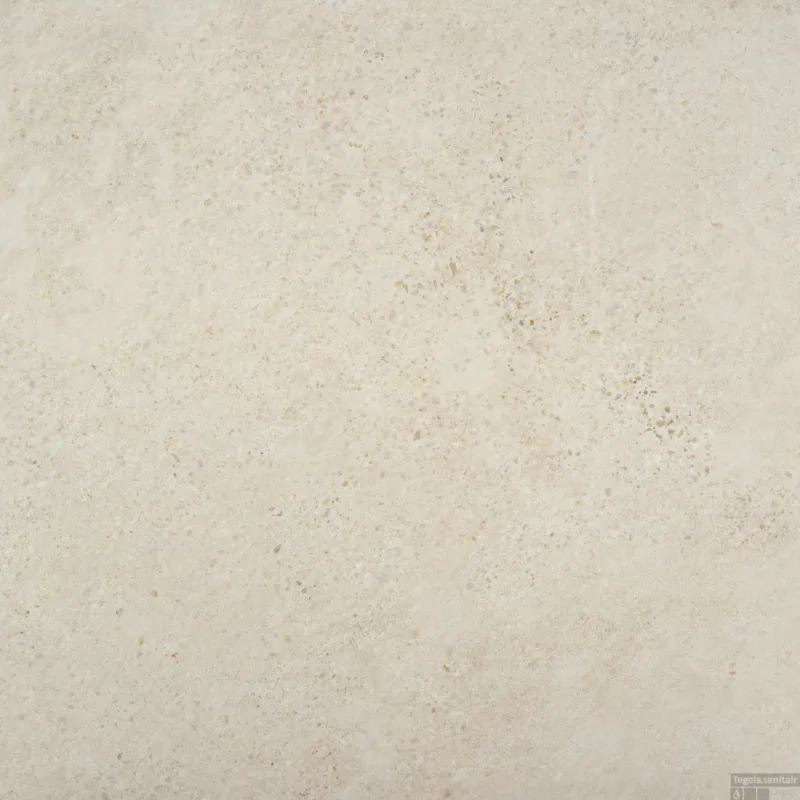 Vloertegel Alaplana P.E. Rodas Beige Mate 100x100 cm (doosinhoud 1.98m2) Lage Prijs