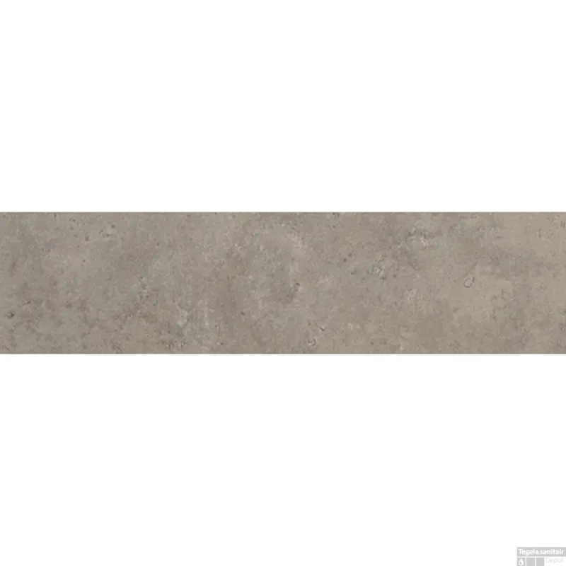 Beperkte Voorraad Douglas & Jones Vloer en Wandtegel Castles Cenere 5x20 cm (doosinhoud 0.6 m2)