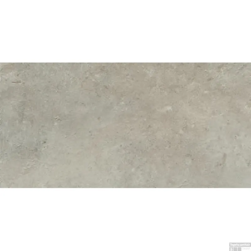Vloer en Wandtegel Serenissima Promenade 60x120 cm 19MM Argento (Doosinhoud 0.72m2) Beperkt Aanbod