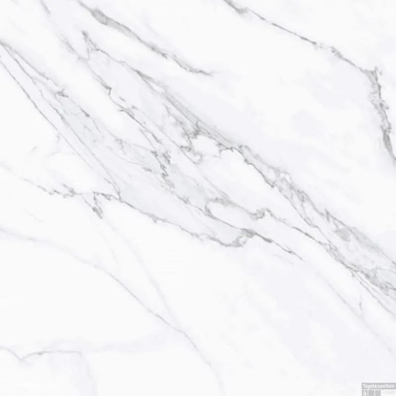 Shop Nu Vloertegel Douglas & Jones Marbles 60x60 cm Glans Lincoln White (Doosinhoud 1.44m2)