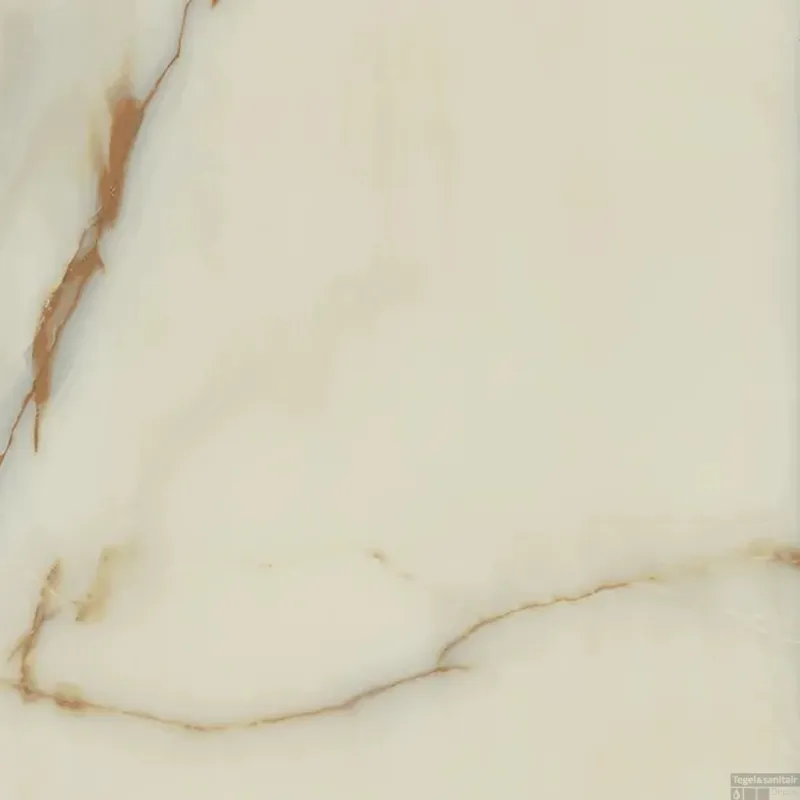 Superprijs Vloertegel Douglas & Jones Magnum 60x60 cm Marmerlook Gerectificeerd 10 mm Mat Onyx Blanche (doosinhoud 1.08m2)