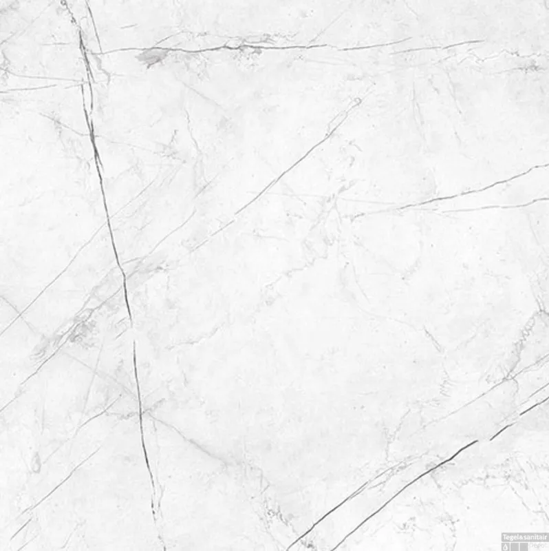 Weekendaanbieding Vloertegel Energieker Ekxtreme Glans 60X60 cm Marquina White (Doosinhoud 1,44M2)