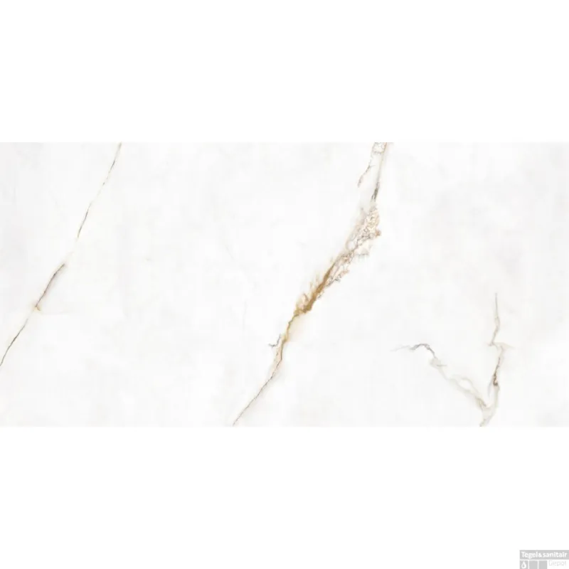 Gecertificeerd Vloertegel Energieker Dubai Gold 60x120 cm Levigato (Doosinhoud 1,44 m2)