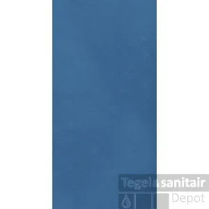 Vloertegel Energieker Mood 60x120 cm Vivo (Doosinhoud 1,44 m2) Hoge Kwaliteit