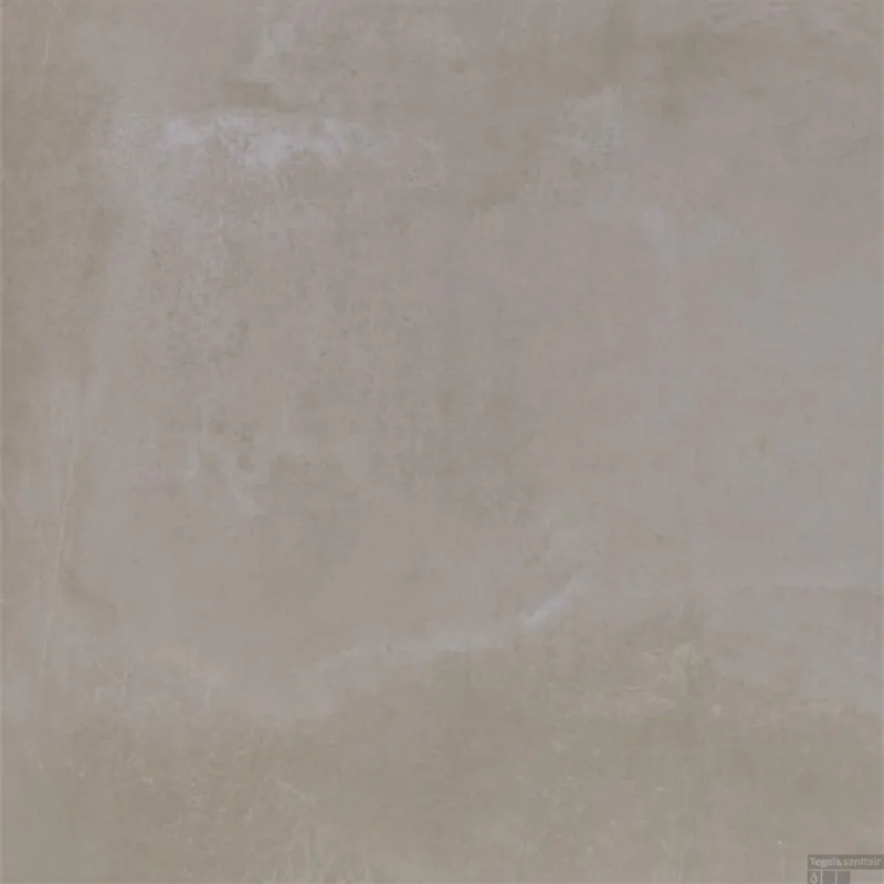 Douglas & Jones Vloer en Wandtegel Metals Plate Nat 80x80 cm (doosinhoud 1,28 m2) Meest Verkocht