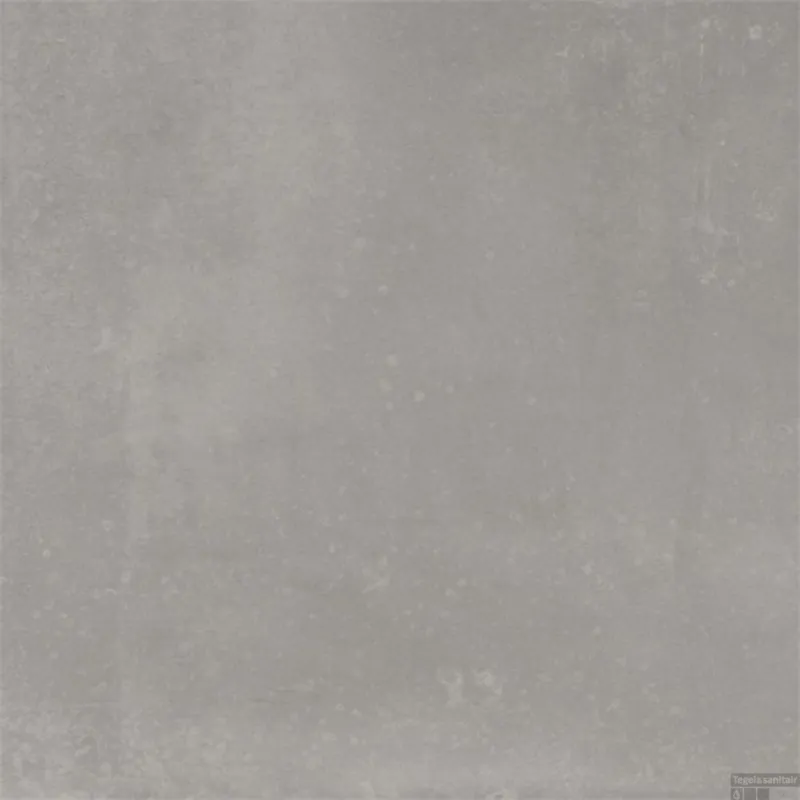 Favoriet Douglas & Jones Vloer en Wandtegel Metals Steel Nat 80x80 cm (doosinhoud 1,28 m2)