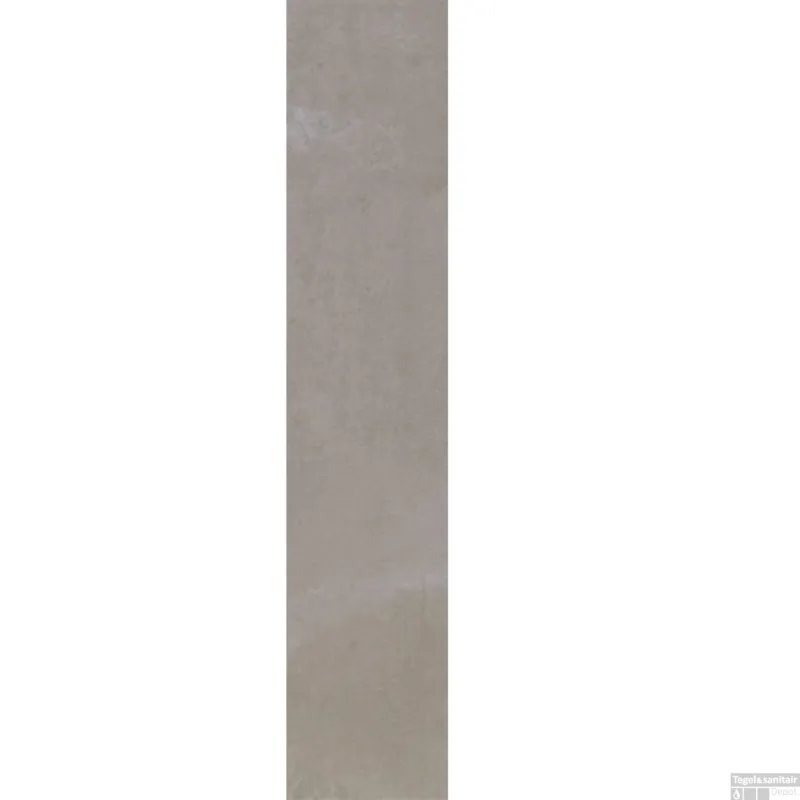 Douglas & Jones Vloer en Wandtegel Metals Plate Nat 20x120 cm (doosinhoud 1,44 m2) Hete Deal