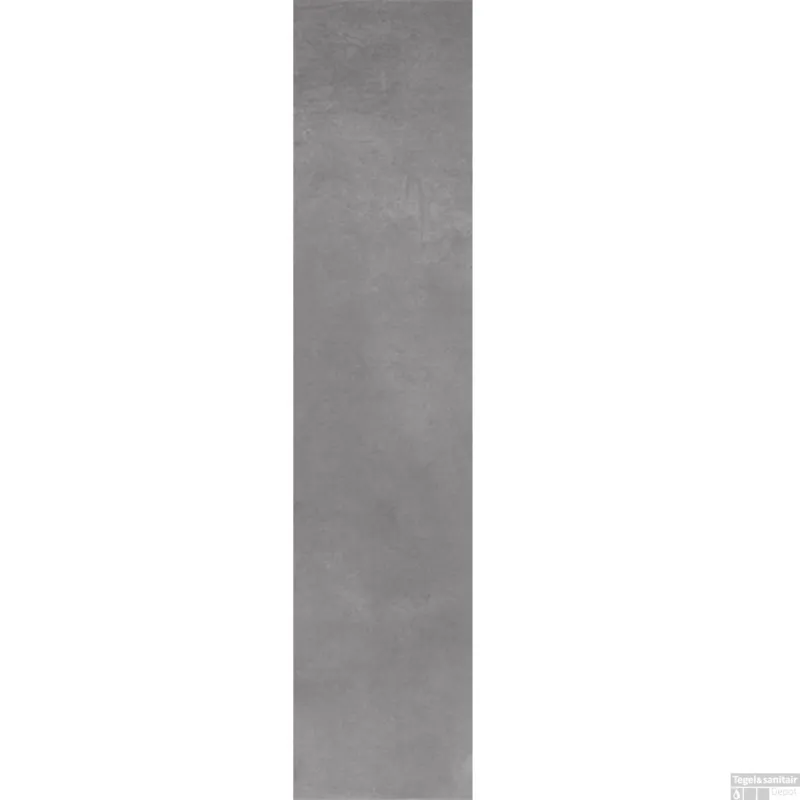 Nieuw Douglas & Jones Vloer en Wandtegel Metals Zinc Nat 20x120 cm (doosinhoud 1,44 m2)
