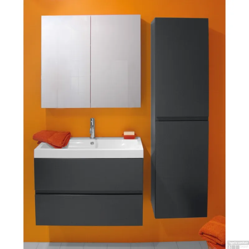 Badkamermeubelset Go By Van Marcke Roxanne 80cm Met Spiegelkast Antraciet Veilige Betaling