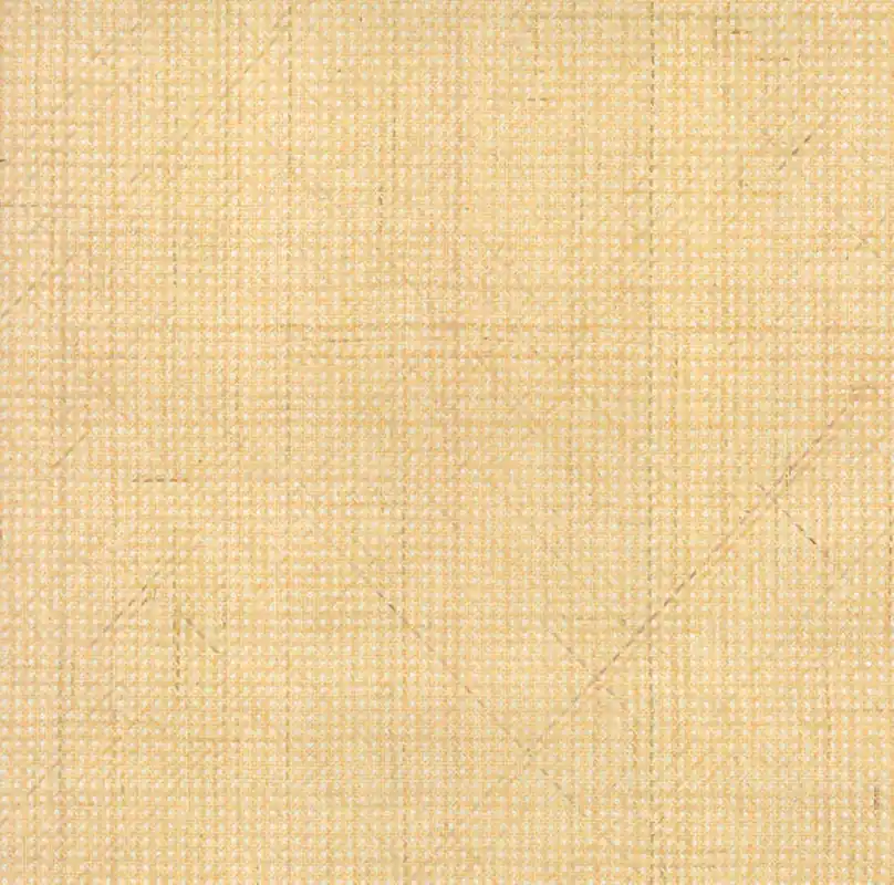 Behang Arte Icons Rattan 85540 Laatste Kans