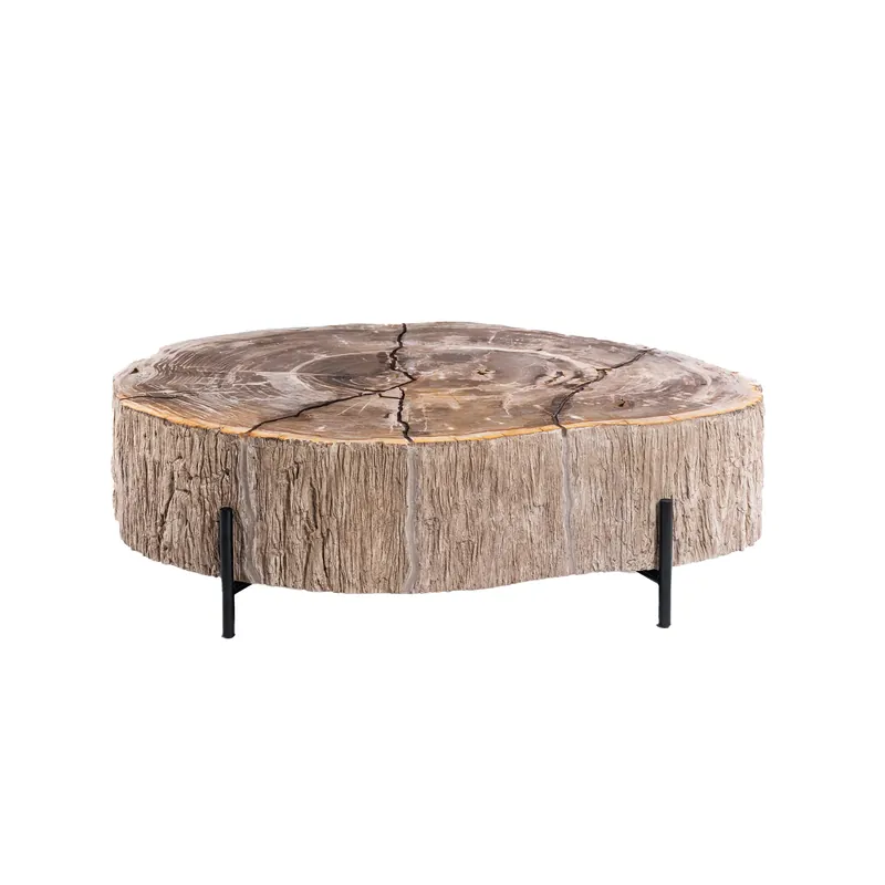 Salontafel Taly natural versteend hout fiberglass Premium