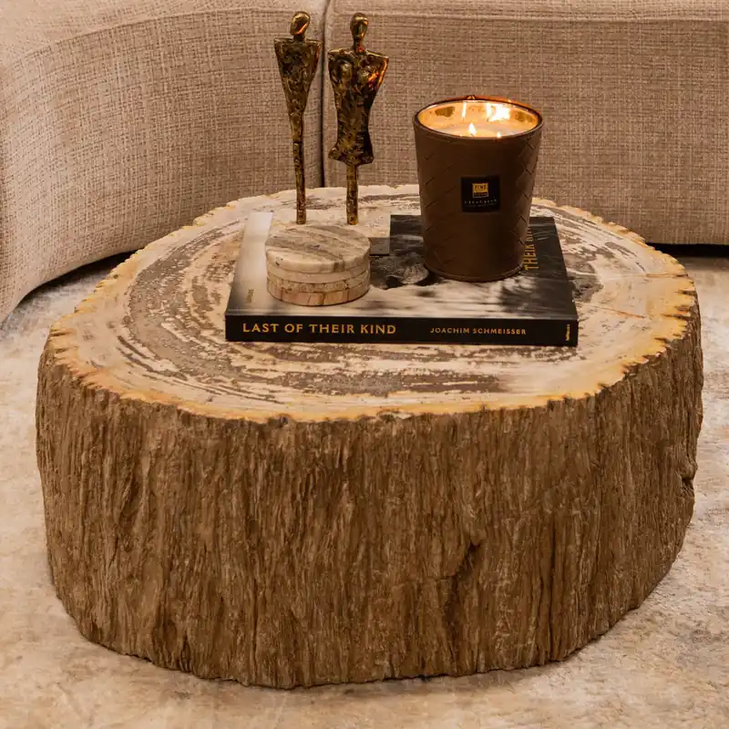 Salontafel Taly natural versteend hout steen Lage Kosten