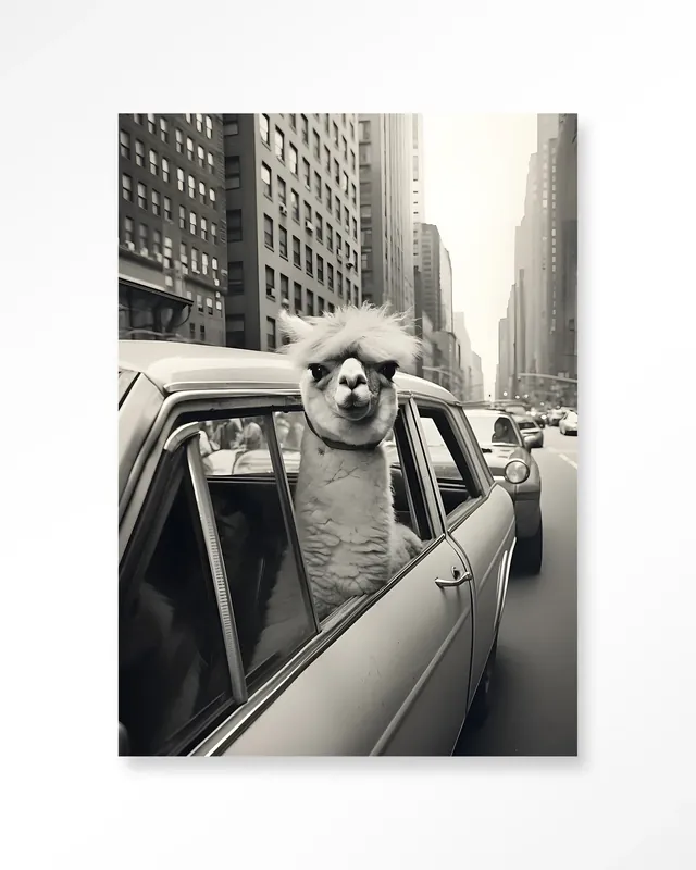 Alpaca In NY - Moderne Wanddecoratie | Artprint, Glass Art & Wandkleed Must-Have