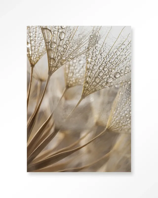 Natuurlijke Abstractie - Moderne Wanddecoratie | Artprint, Glass Art & Wandkleed Gecertificeerd