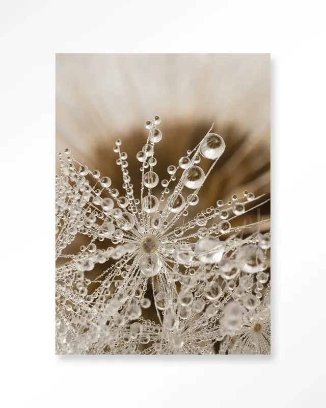 Koopje Landelijke Natuur - Moderne Wanddecoratie | Artprint, Glass Art & Wandkleed