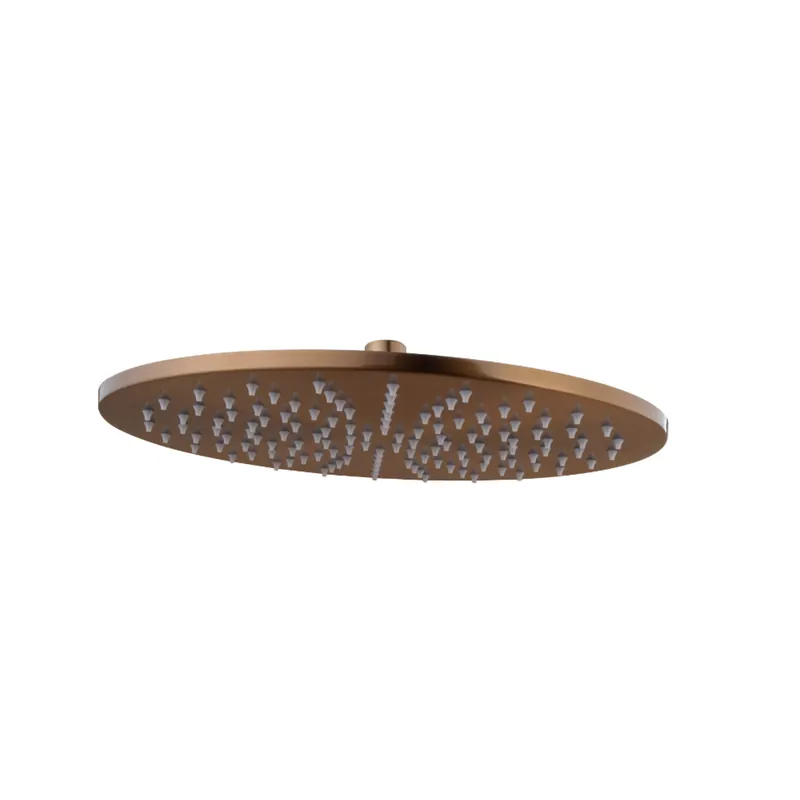 Betaalbaar Hoofddouche BWS Danielle Rond 25 x 0,8 cm Geborsteld Brons Koper