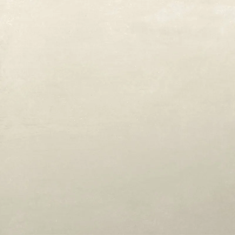 Gecertificeerd Vloertegel Logan Bianco 60X60Cm (prijs per m2)