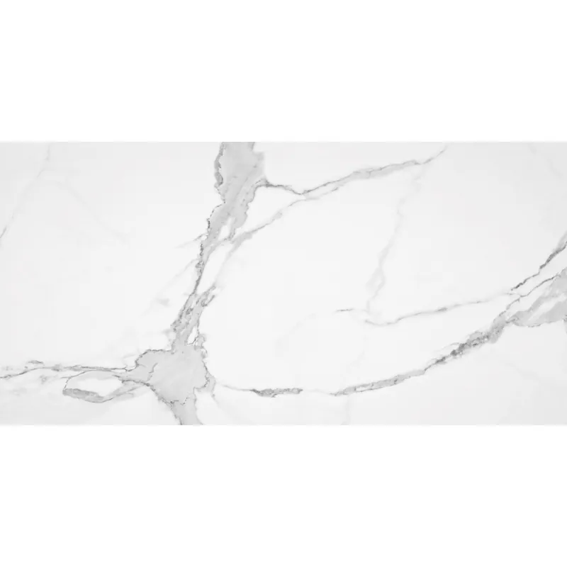 Alleen Vandaag Vloertegel Alaplana P.E. Palladio Statuario Gepolijst 60x120 cm Gerectificeerd Marmerlook (Doosinhoud 1.44 m2) (prijs per m2)