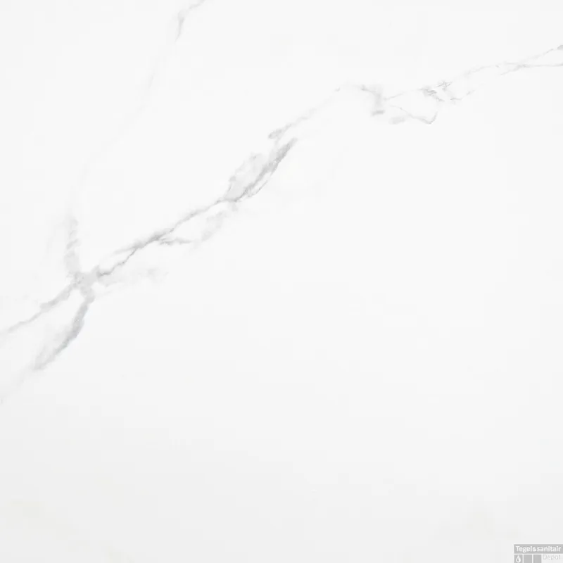 Vloertegel Alaplana Pune Blanco Mat 60x60 cm Marmer Look (doosinhoud 1.44m2) prijs per m² Beste Prijs
