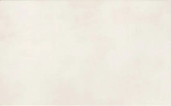 Wandtegel Pascal Blanco 25X40 (prijs per m2) Lage Prijs