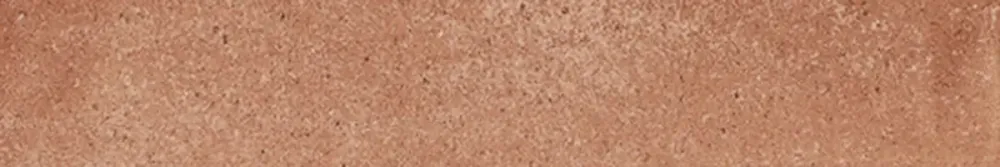 Alleen Vandaag Tegelsample Vtwonen Tegels Earth vloertegel 5x30cm terracotta