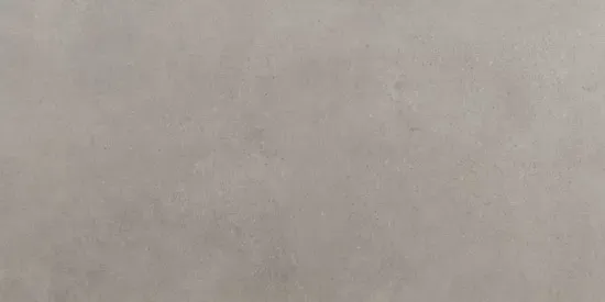 Tegelsample Vtwonen Tegels Raw vloertegel 60x120cm grijs donker gerectificeerd Koop Vandaag