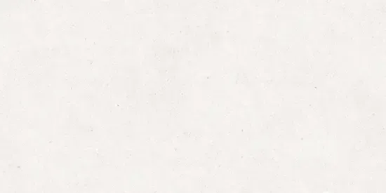 Lage Prijs Valence Orizz vloertegel bianco mat 60x120cm wit