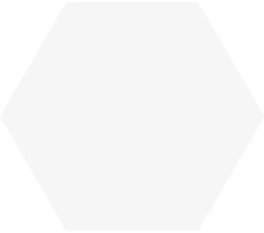 Betaalbaar Tegelsample Jabo Hexagon Timeless vloertegel white 15x17