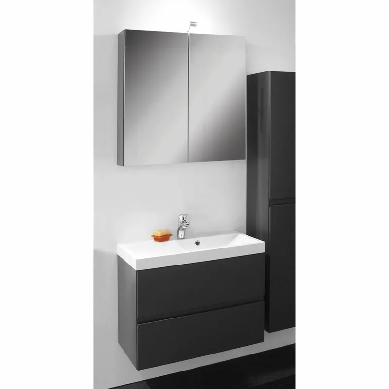 Badkamermeubelset Go By Van Marcke Roxanne 60cm Met Spiegelkast Antraciet Snelle Levering